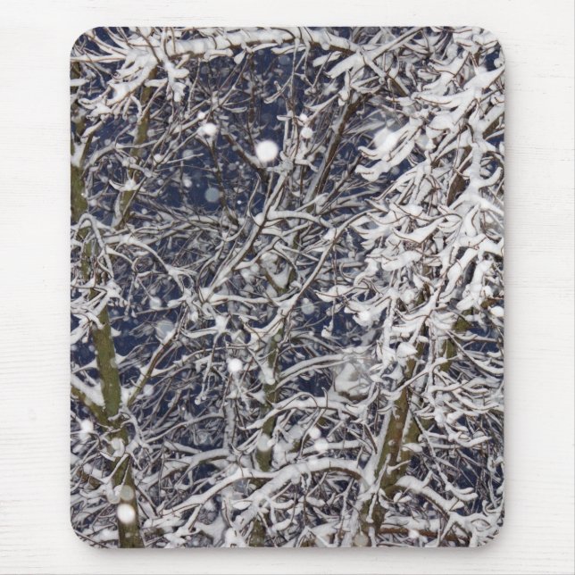 Snöstorm Träd med Grenar foto med Snö täckt med Musmatta (Framsidan)