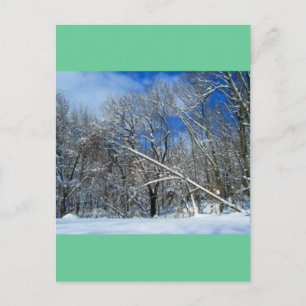 Snöstorm Träd olja Vykort