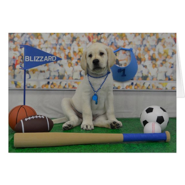 Snöstormsportkort Hälsningskort (Framsidan Horizontal)