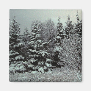 Snötäckemagnet Magnet