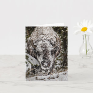 Snötäckt Bison Grand Teton-kort Kort