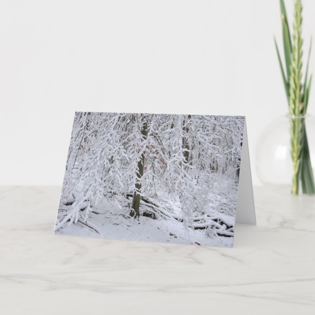 Snötäckt björkträdskanopi kort (Framsida)