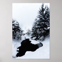 Snötäckt damm och träd försvinner i dimma poster