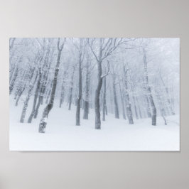 Snötäckt frusen skog på vintern poster