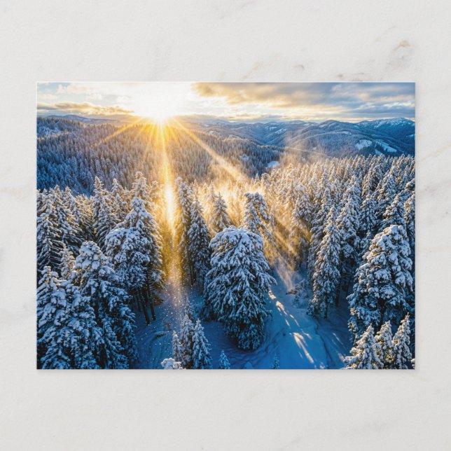Snötäckt granskog sedd från luften vykort (Framsida)