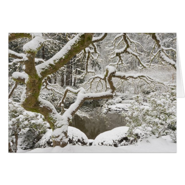Snötäckt japansk lönn hälsningskort (Framsidan Horizontal)