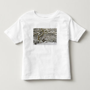 Snötäckt japansk lönn t-shirt