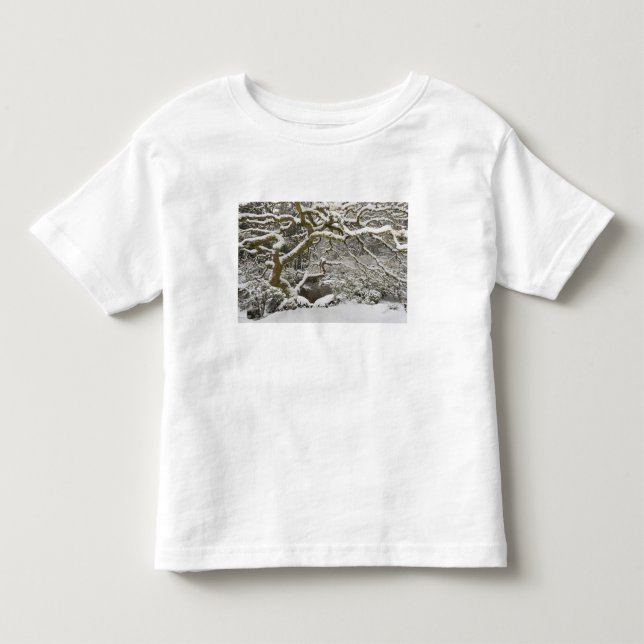 Snötäckt japansk lönn t-shirt (Framsida)