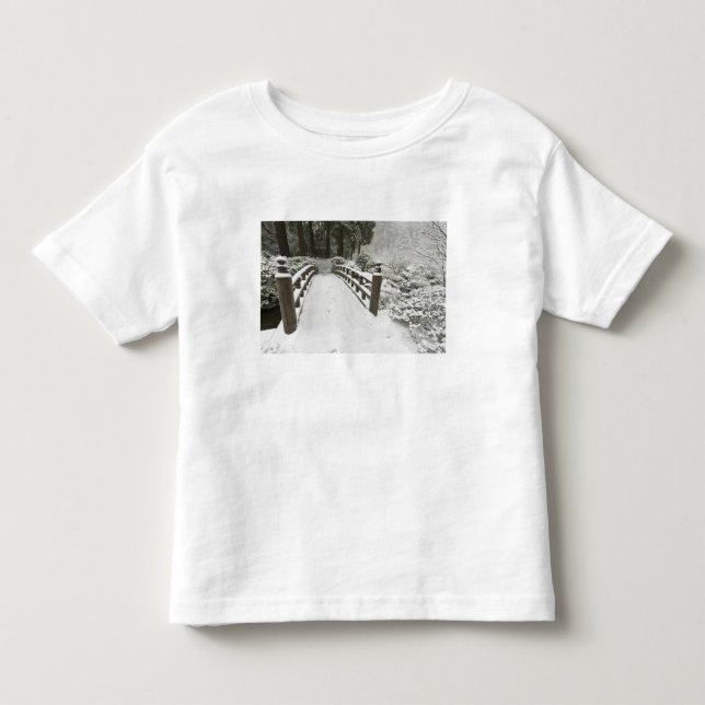 Snötäckt månbro, japansk trädgård tee (Framsida)