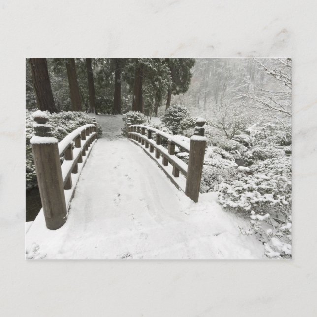 Snötäckt månbro, Japanska trädgården Vykort (Framsida)