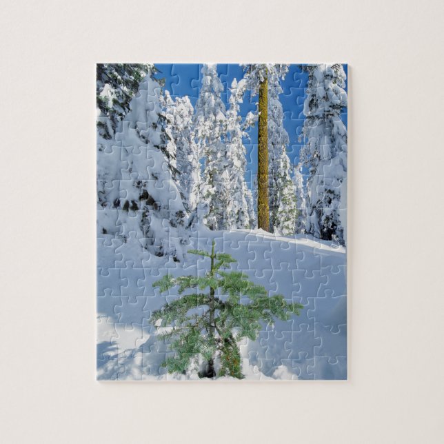 Snötäckt skog i Oregon Pussel (Vertikal)