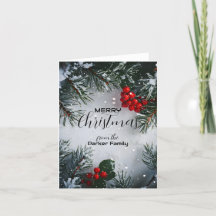 Snötäckt tall, järnbär, icke-foto