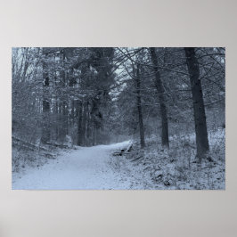 Snötäckt vandringsled 1 poster