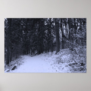 Snötäckt vandringsled 2 poster