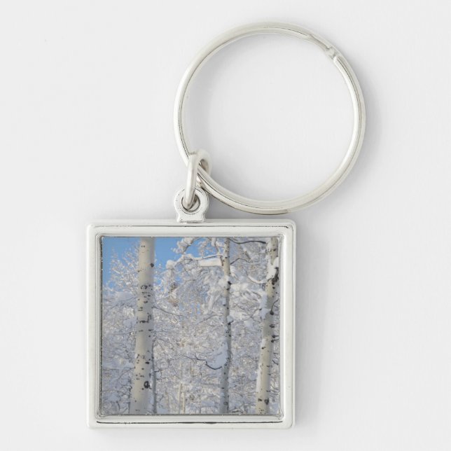 Snötäckta asp, Beartrap-Desolation Ridge Fyrkantig Silverfärgad Nyckelring (Framsidan)