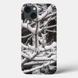 Snötäckta grenar