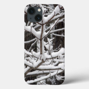 Snötäckta grenar