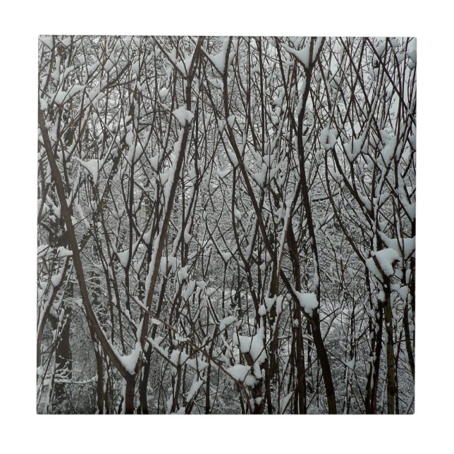 Snötäckta grenar Vinter Abstrakt Kakelplatta (Framsidan)