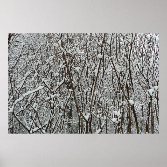 Snötäckta grenar vinter poster (Framsidan)