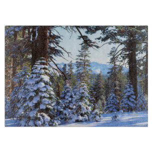 Snötäckta röda ädelgranar i High Sierra 2