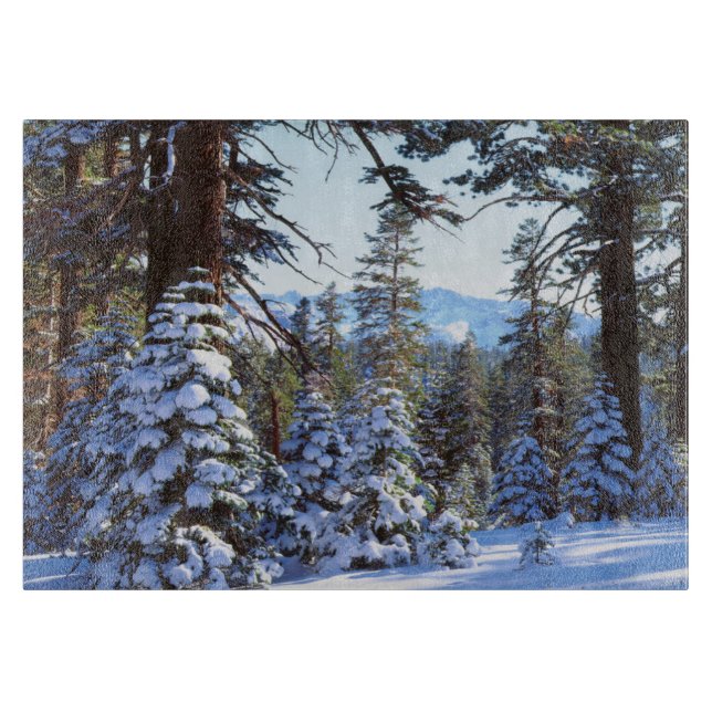 Snötäckta röda ädelgranar i High Sierra 2 (Framsidan)
