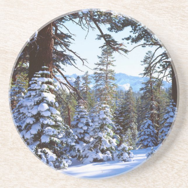 Snötäckta röda ädelgranar i High Sierra 2 Underlägg Sandsten (Framsidan)