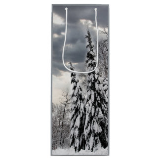 Snötäckta Ständigt Gröna Träd Under Dramatisk Vint