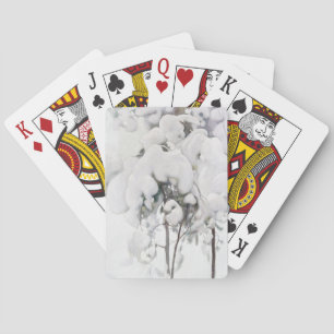 Snötäckta tallplantor (av Pekka Halonen) Casinokort