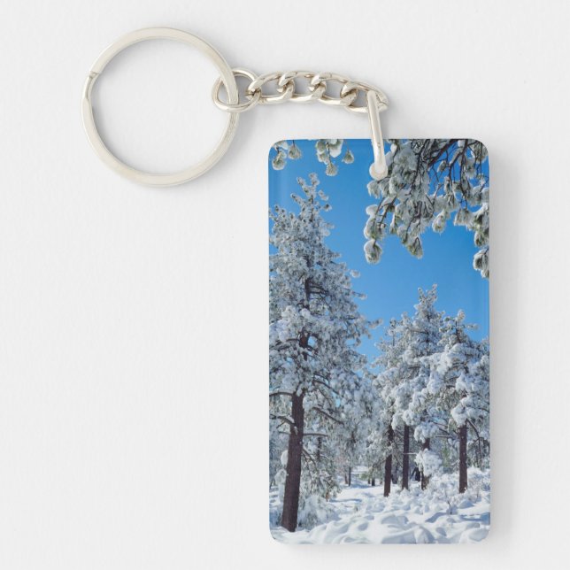 Snötäckta träd i Laguna Mountains (Framsidan)