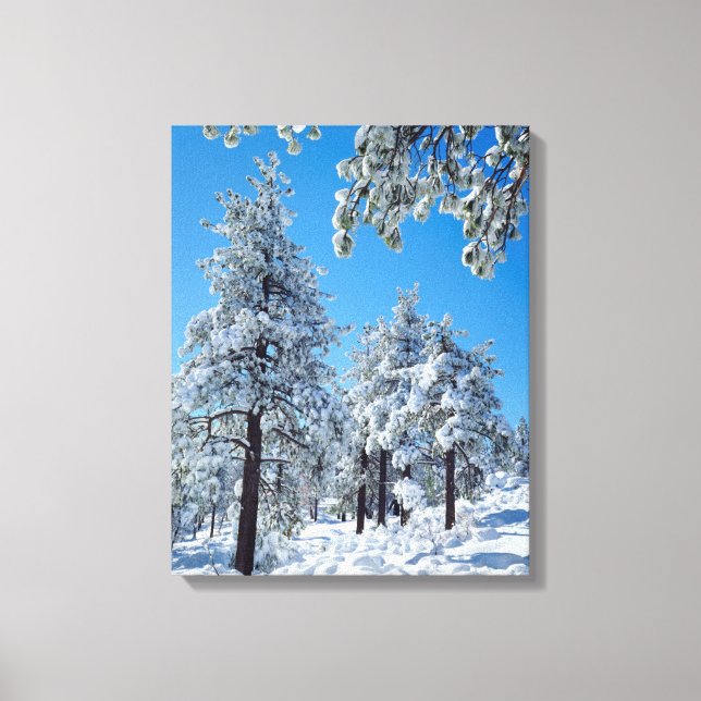 Snötäckta träd i Laguna Mountains Canvastryck (Framsida)