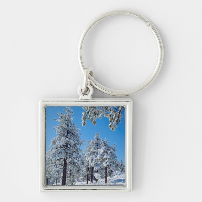 Snötäckta träd i Laguna Mountains Fyrkantig Silverfärgad Nyckelring (Framsidan)