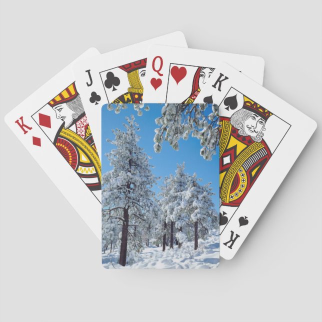 Snötäckta träd i Laguna Mountains Kortlek (Baksidan)