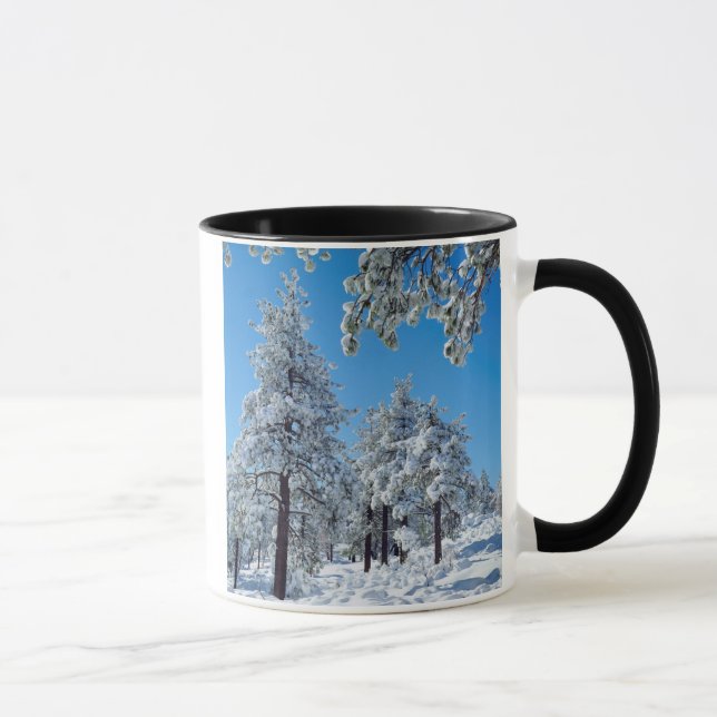 Snötäckta träd i Laguna Mountains Mugg (Höger)