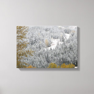 Snötäckta träd i Whistler, B.C. Canvastryck