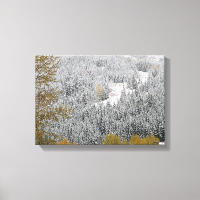 Snötäckta träd i Whistler, B.C. Canvastryck (Framsida)