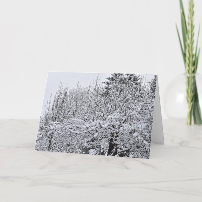 Snötäckta Träd Kort (Framsida)