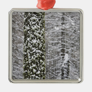 Snötäckta trädstammar i Yosemite-dalen - Julgransprydnad Metall