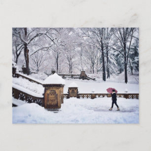 Snötäckta trappor i Central Park Vykort