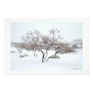 Snöträd av Sidharta Pascual Fototryck