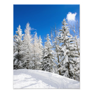 Snöträd under ett klart blå himmelfoto skrivar  fototryck
