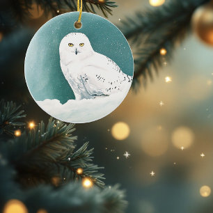 Snöuggla Arktisk Vinter Himmel Snö Teal Julgransprydnad Keramik
