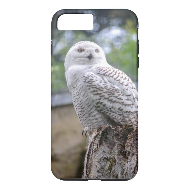 Snöuggla Case-Mate iPhone Skal (Baksida)