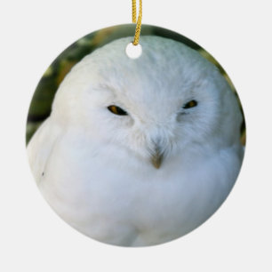Snöuggla Julgransprydnad Keramik