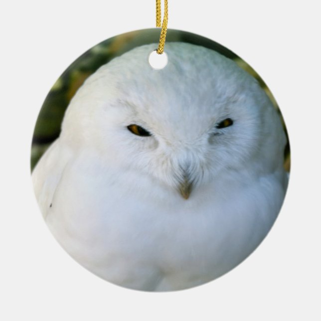 Snöuggla Julgransprydnad Keramik (Framsidan)