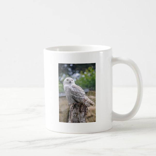 Snöuggla Kaffemugg (Höger)