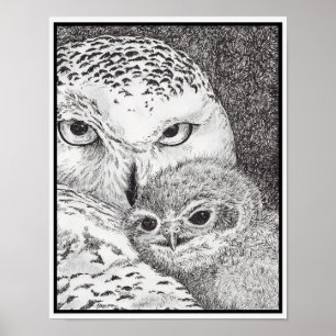 Snöuggla och unge poster