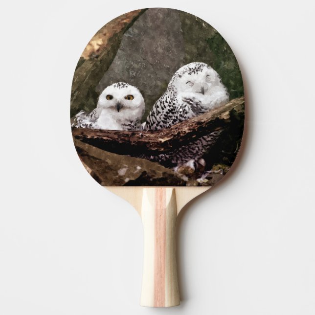 Snöuggla Par Skogs Vilda Natur Konst Pingisracket (Framsidan)