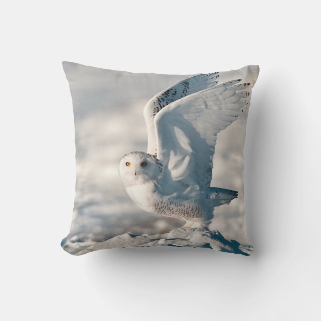 Snöuggla som lyfter från snö kudde (Framsida)