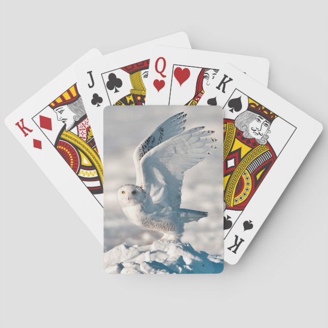 Snöuggla som lyfter från snö spel kort (Baksidan)