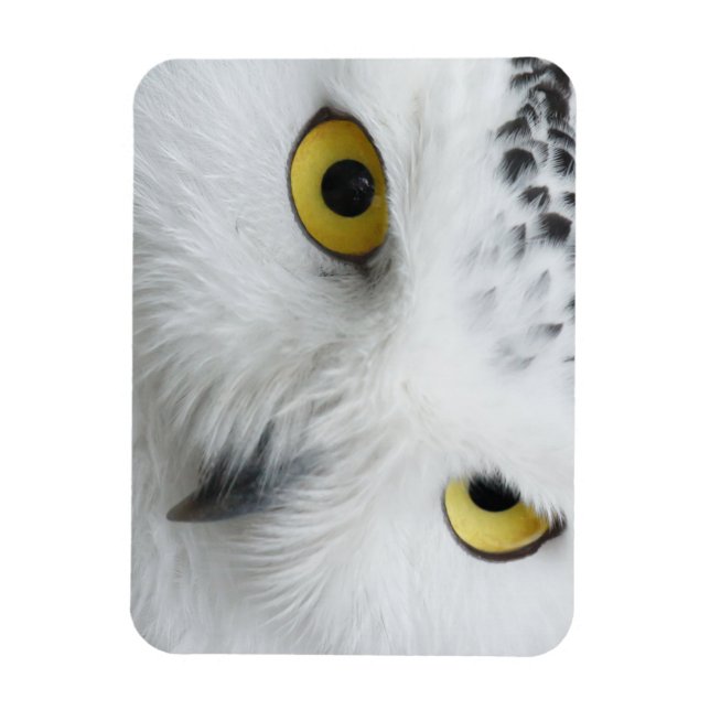 Snöugglaögon Magnet (Vertikal)